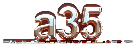 a35 logo